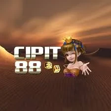 cipit88 App APK Terbaru APK Resmi — ikon aplikasi